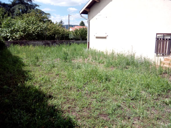 terrain sud